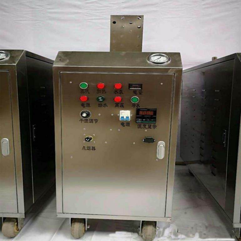 压温蒸汽洗车机 电加热流动自助洗车机报价 家用蒸气清洗机