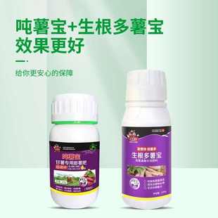 生根多薯宝吨薯宝套餐快速生根剂膨大薯块红薯专用可蘸可喷叶面肥