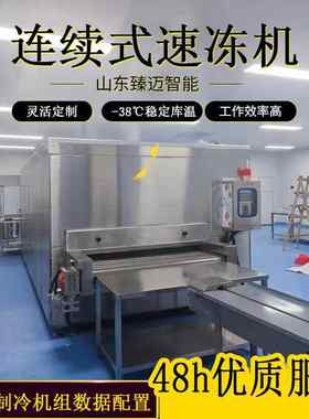 连续式速冻机海虾鳌虾隧道式速冻机海鲜大型连续式冷冻设备厂家