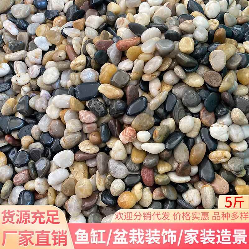 鹅卵石雨花石原石天然石头鱼缸花盆盆栽铺面庭院铺路五彩色小石子
