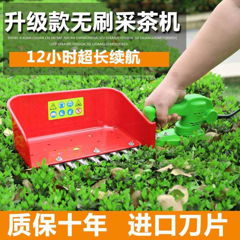 采茶机篱机新款大斗采茶20240506机广西山地平原收用使茶绿叶获机