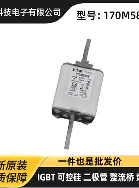 170M6247170M6248170M6249170M6250原盒快速熔断器保险丝