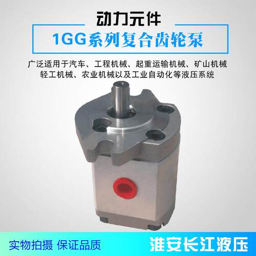 1GG系列高压齿轮泵高效液压齿轮油泵厂家直发现货供应长江液压