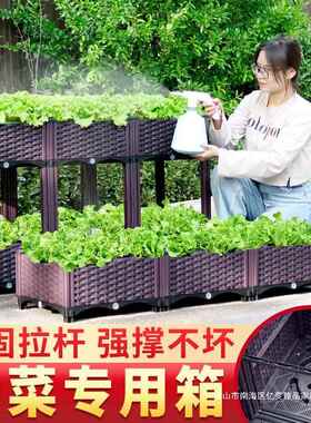 种植庭种菜箱楼顶特大家阳台户外箱加深蔬塑花盆AL100744料槽