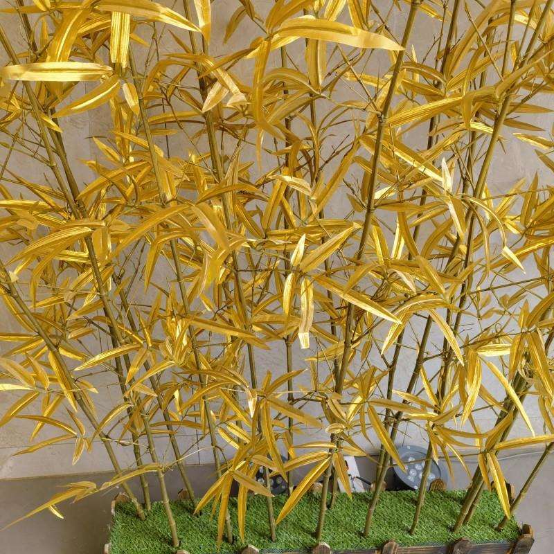 金色竹子金色真竹子金色假竹子金竹子金色装饰竹子金色婚庆用品