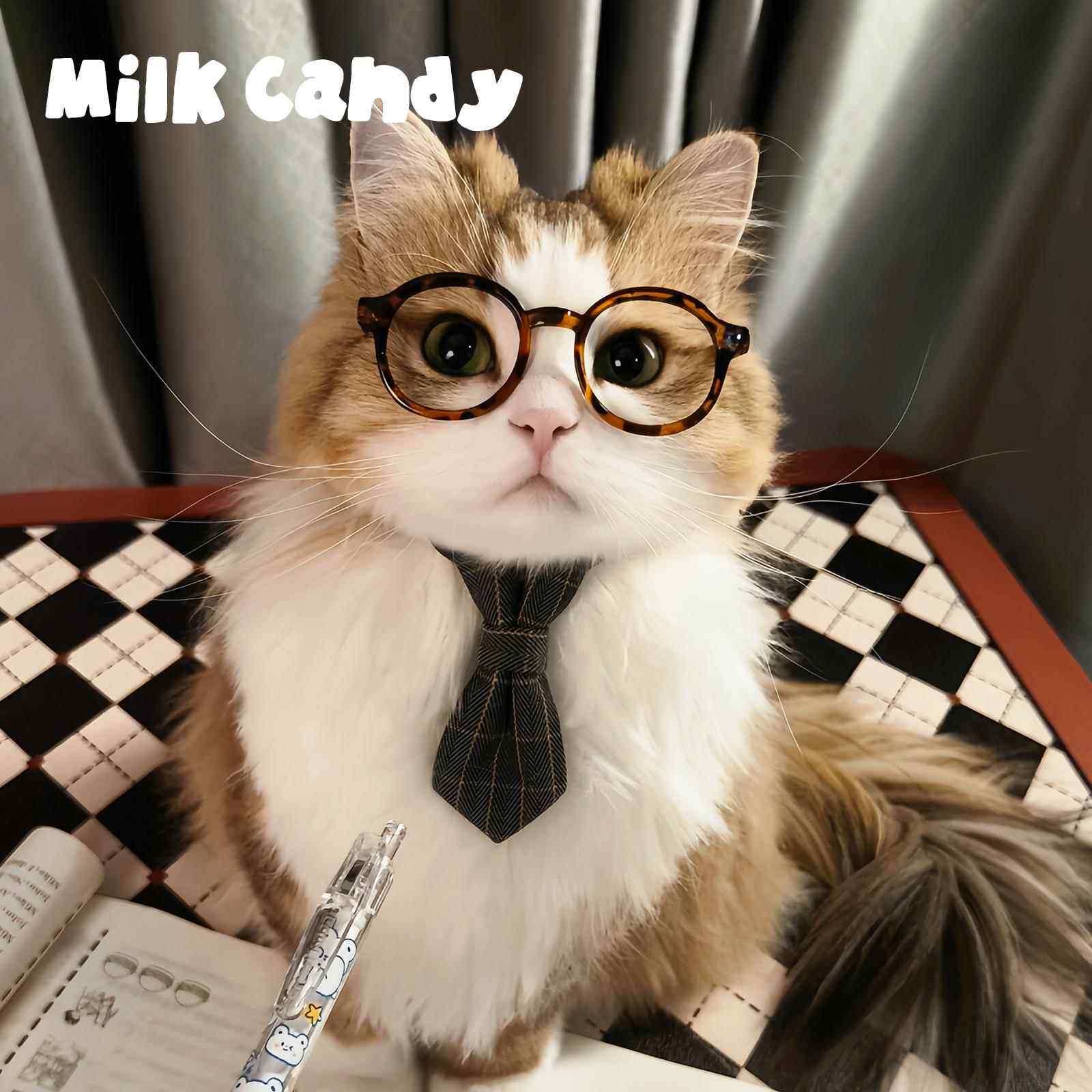 猫咪领带狗狗围脖小狗围兜可爱领巾装饰品小猫围巾宠物领结小配饰,宠物/宠物食品及用品,围巾/口水巾,淘宝优惠券,粉丝福利购,淘宝优惠卷