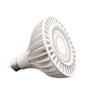 生长灯全光谱COBPar灯12 30w多肉育苗led植物灯室内植物补光灯