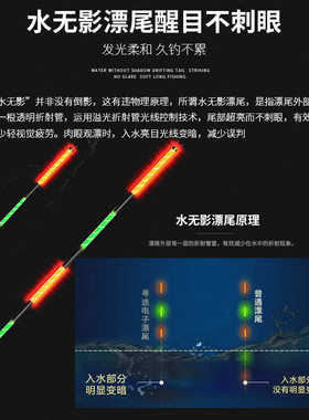MERMAID美人鱼寻途纳米变色龙电子漂无影夜光漂日夜两用鲫鲤鱼漂