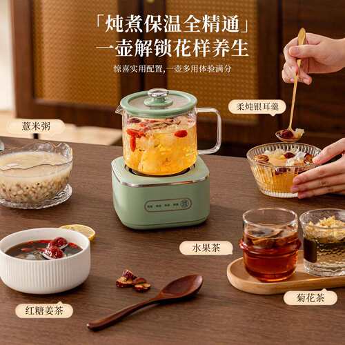 多功能养生壶办公室家用全玻璃迷你型烧水煮茶壶智能花茶壶送礼