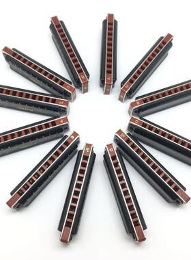 东方鼎easttop T008K十孔蓝调布鲁斯口琴初学7调/12调套装