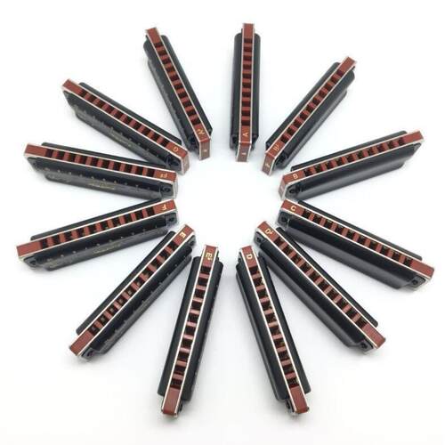 东方鼎easttop T008K十孔蓝调布鲁斯口琴初学7调/12调套装