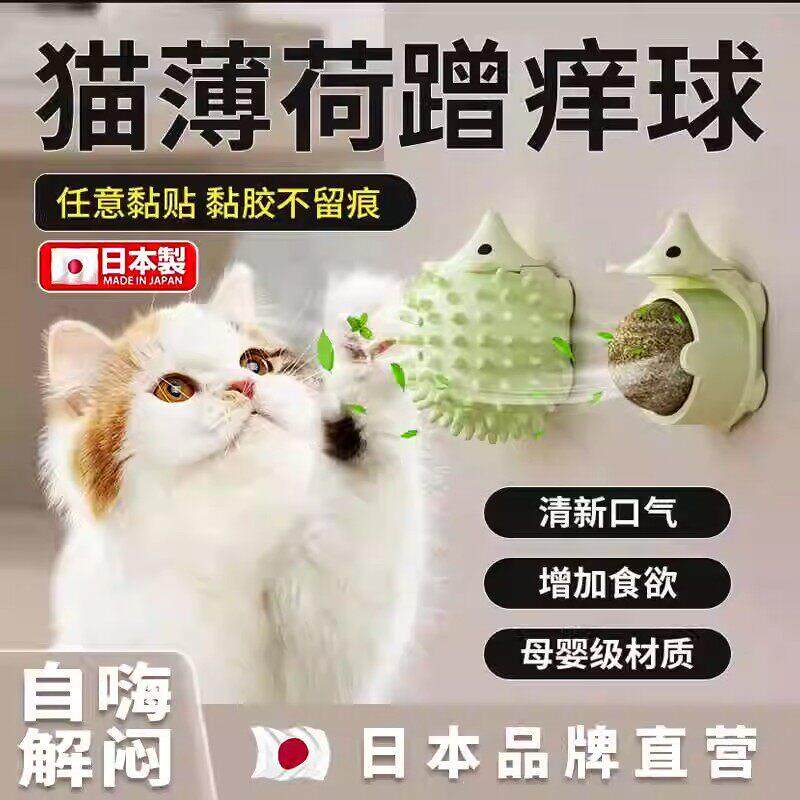 刺猬猫薄荷球猫玩具磨牙棒木天蓼逗猫棒自嗨解闷棒棒糖猫咪用品