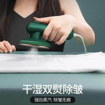 Handheld Steamer Portable Steam Electric iron 220V 1000W