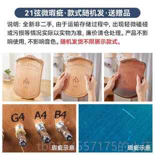 正品怪17音器指弹弦琴弹拨洋乐器简单易上手好玩冷门乐西稀奇古的