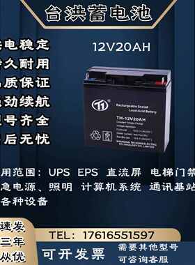 台洪蓄电池TH-12V20AH 直流屏 UPS电源主机 电梯消防 应急电源