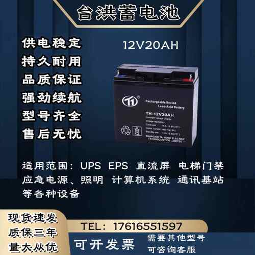 台洪蓄电池TH-12V20AH 直流屏 UPS电源主机 电梯消防 应急电源