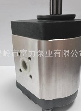 弗格森 齿轮泵 液压泵Ferguson MF 7228132 72277154 24529950