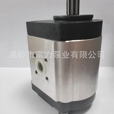 弗格森 齿轮泵 液压泵Ferguson MF 7228132 72277154 24529950