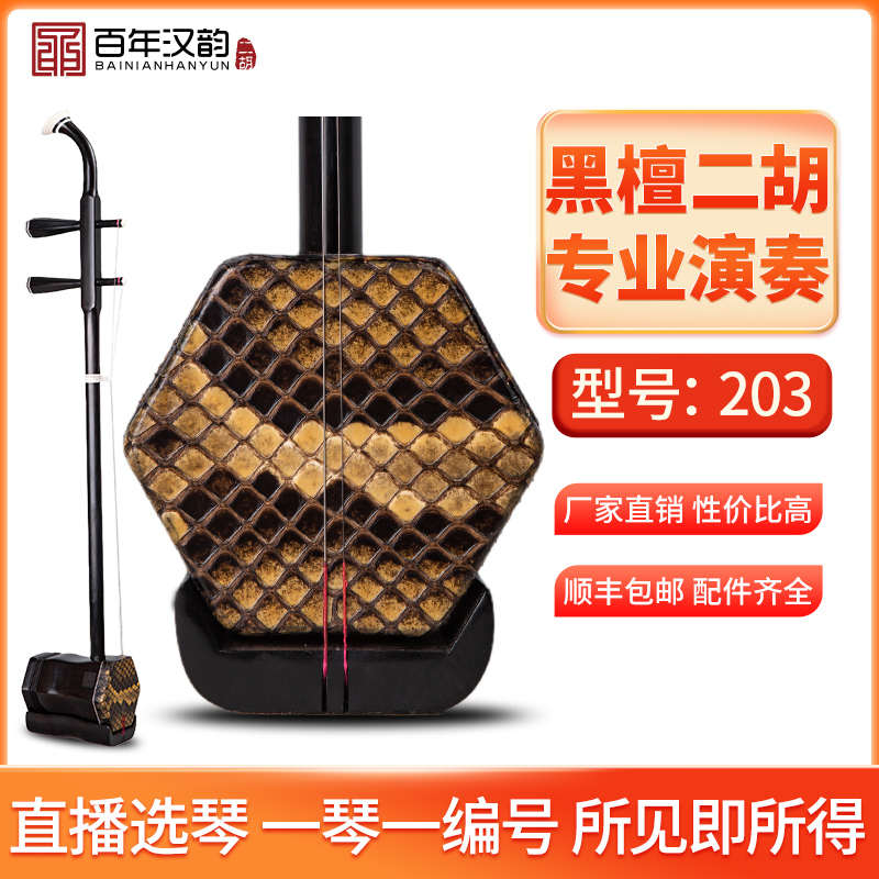 汉韵二胡中老年手工制作演奏乐器二胡胡琴专业精品黑檀型号203