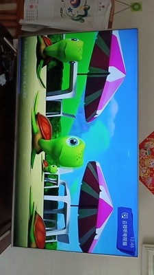 实话真说长虹65A4U与海信H65E3A哪个口碑好，评测揭秘真相