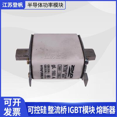 正熔熔断器NT00C NH00C GL 100A RT16-00C RT20 RO30A 100A熔断器