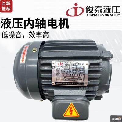 俊泰JUNTAI液压专用电机AEEH-80-4/90L/100L/112M/132S-4内轴电机