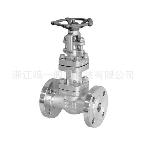 波纹管锻钢截止阀波纹管闸阀特材波纹管截止阀核电阀门法兰闸阀