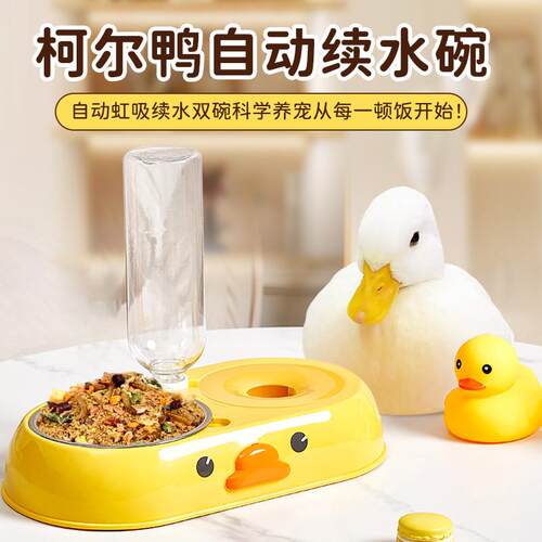 柯尔鸭喂食器自动喂水器大容量小鸡兔子专用食盆喂食喝水器二合一