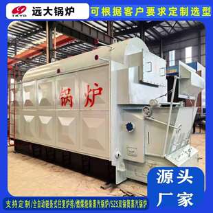 屠宰厂水池加热手烧烧柴燃煤蒸汽锅炉4吨链条生物质颗粒蒸汽锅炉