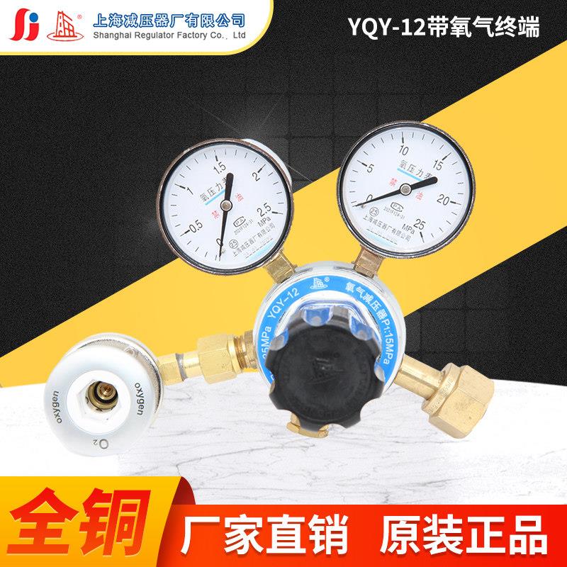 上海减压器厂氧气钢瓶减压器出口吸氧装置减压表国标德标氧气终端