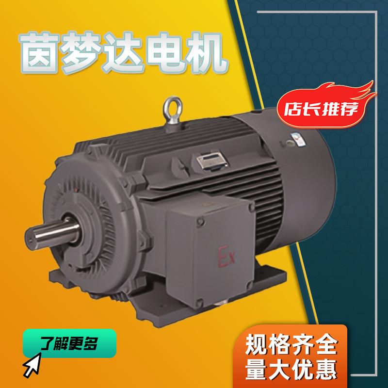茵梦达电机1MT0系列粉尘防爆三相异步电动机45kw55kw厂家直供图片