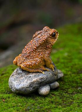 彷真蟾蜍摆件花园盆景假山造景树脂招财金蟾工艺礼品摆饰桌面装饰