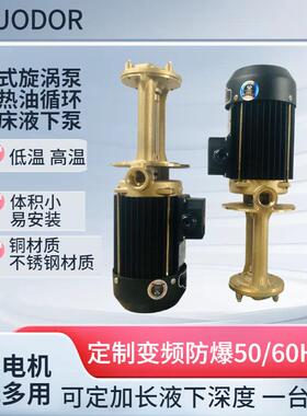 供应高温机床液下泵WL-07-150立式潜水离心泵0.5kw高温热水热油泵