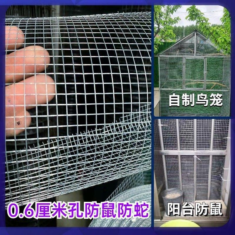 铁丝网热镀锌小孔加密防老鼠铁网格阳台防护鸽鸟兔笼网户外养殖网