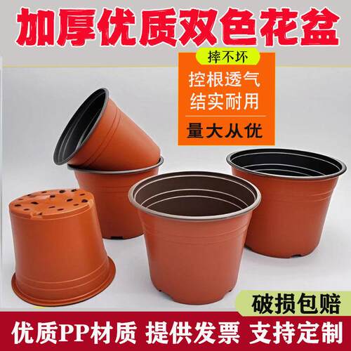 双色盆加厚育苗盆多肉种植盆一次性简易塑料花盆加厚营养钵育苗杯