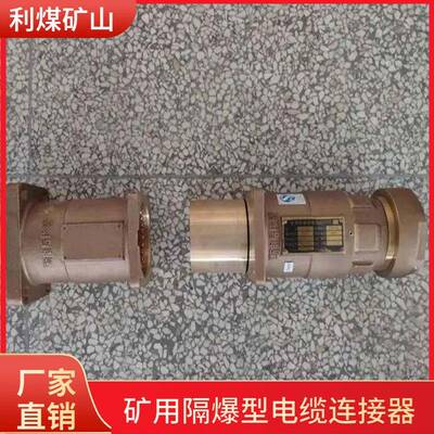 利煤矿山LBG6-800/3.3矿用隔爆型高压电缆连接器全铜电缆接线盒