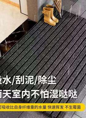 七纹地毯地简耐脏T0451防滑地毯约入户门垫家用厨房垫商用店铺条