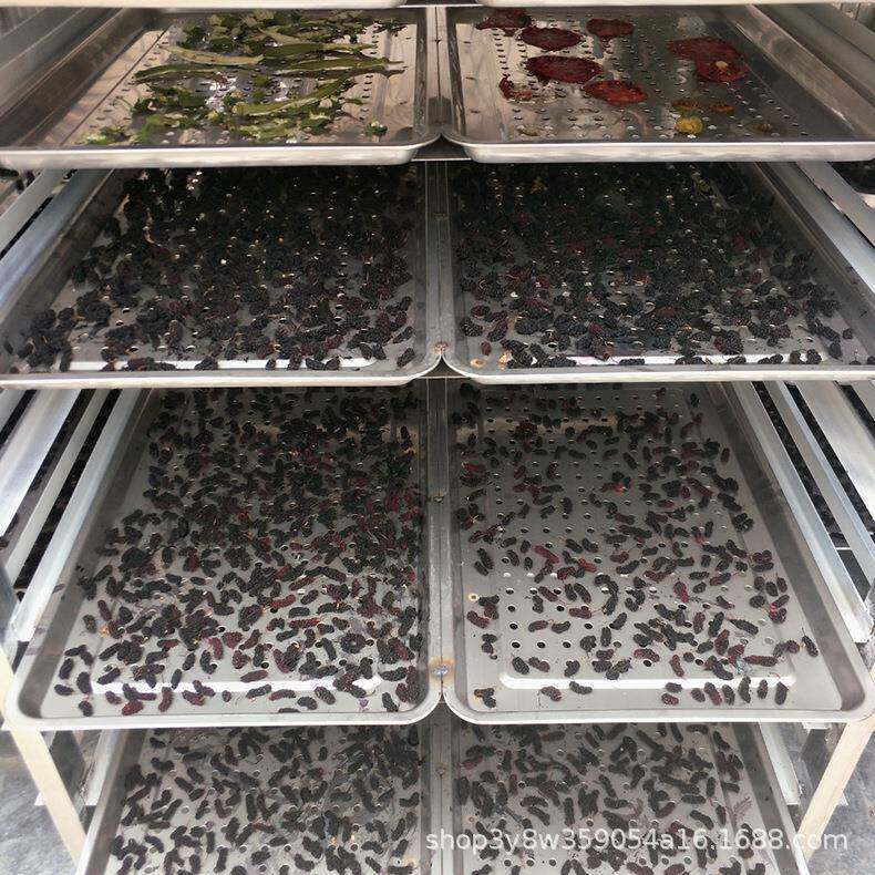 桑葚烘干机药材加工箱式烘干设备间歇式商用烘干机优惠
