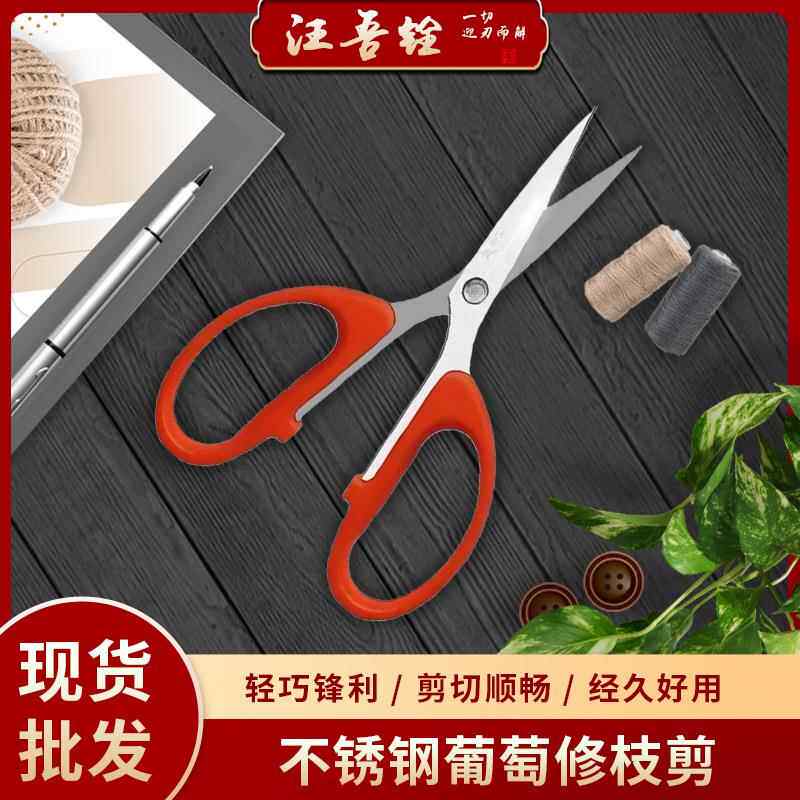 汪吾不锈钢尖头葡萄专用修枝摘果稀果园艺盆景修剪多功能剪刀125