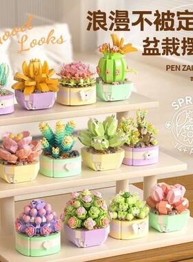 Flower Succulents Building Blocks Cactus Gypsophila Bonsai r