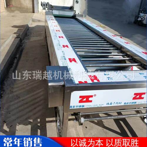 工业金桔分拣设备多功能大蒜筛选机商用圣女果不锈钢分选机