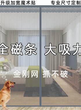 新款金刚网结实耐用粘贴式夏季防蚊门帘磁性自吸魔术贴家用免打孔