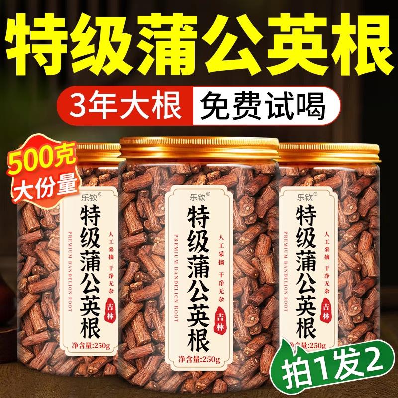 蒲公英根茶长白山天然野生中药材炒蒲公英根去火官方旗舰店熟正zz