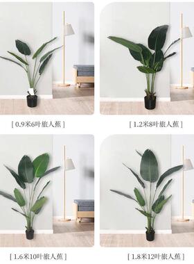 叶仿真盆栽北欧蕉家居装饰绿懒人植 盆栽植物8旅人仿真