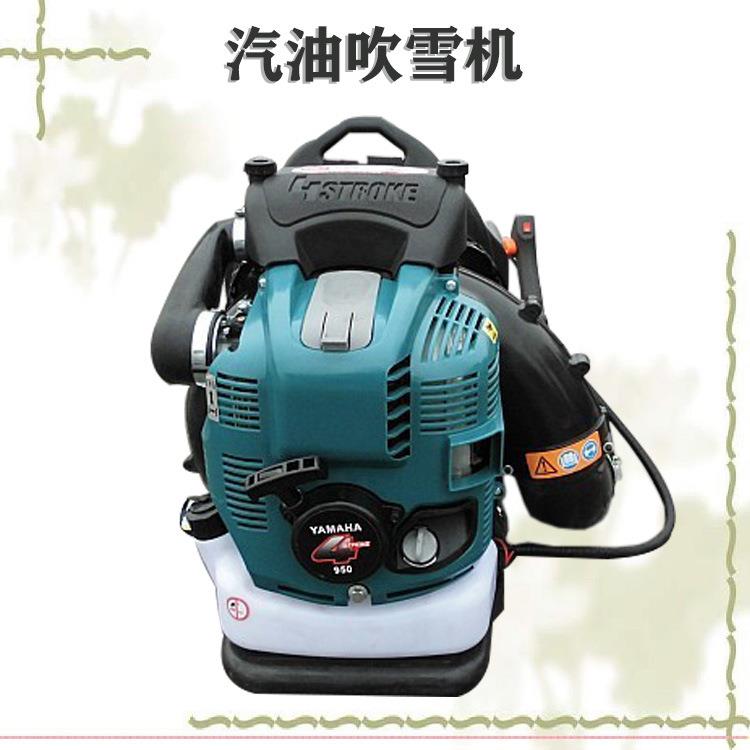 工业吹尘工具 背负式四冲程汽油吹雪机风力灭火设备 大棚吹落叶机