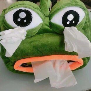 Frog Cover 2PCS Sad Tissue Box Paper Creative Drawer