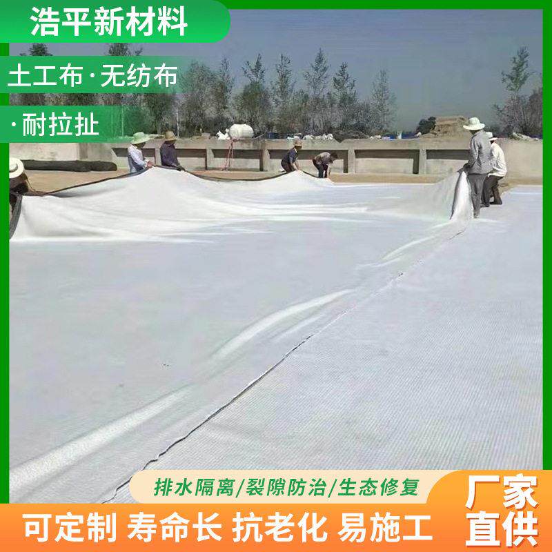 200g短丝土工布防水防渗公路铁路养护出口土工布毛毡布透水土工布