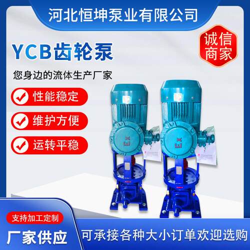 YCB圆弧齿轮泵不锈钢立式齿轮泵高压油泵船用泵