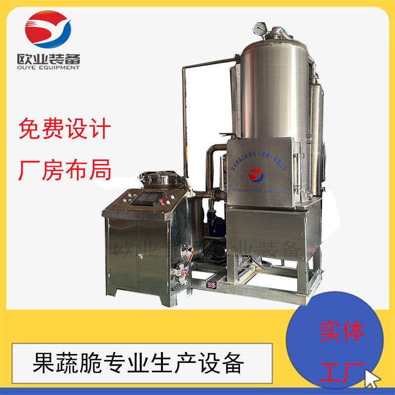 哈密瓜低温油炸设备果蔬脆片加工设备琥珀核桃仁油炸机