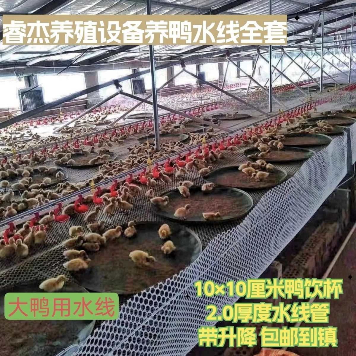 鸭鹅用全套饮水器小鹅水线鸭棚自动水线肉鸡饮水大碗家禽自动饮水